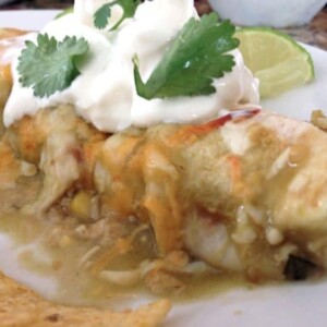 A close up of a plate of food, with Enchilada and Chicken