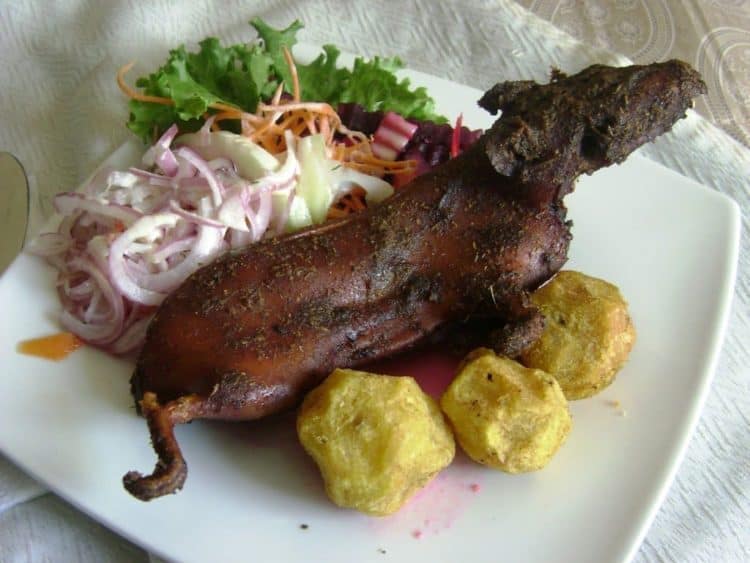 A plate of food, with Staple food