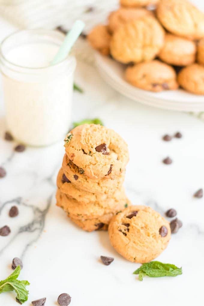 Stack of chocolate chip cookies with fresh mint and a glass of milk.