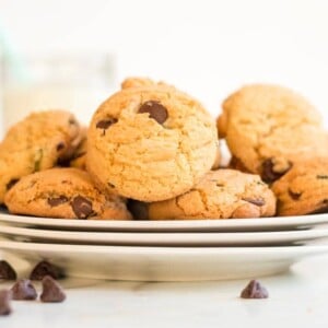 Plate of mint chocolate chip cookies garnished with chocolate chips.