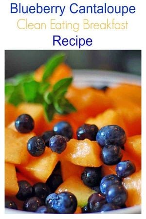Close up diced cantaloupe, blueberries and mint sprig