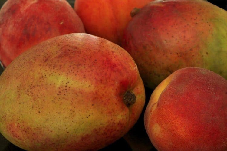 A pile of mangos and peaches