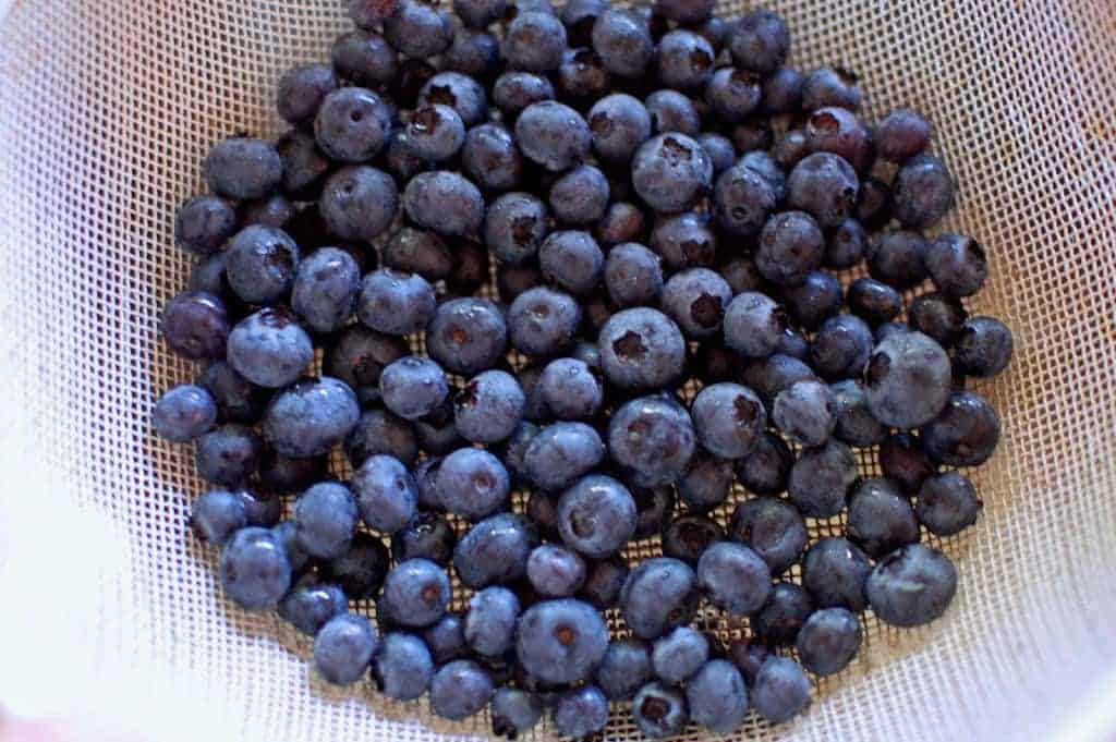 a dish of blueberries