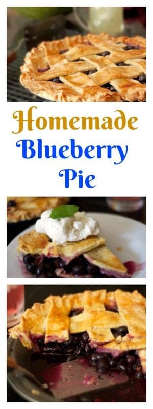 A close up of blueberry pie