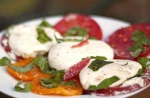 Burrata cheese on tomatoes and basil