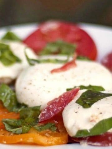 Burrata cheese on tomatoes and basil