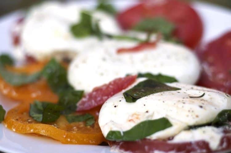 Burrata cheese on tomatoes