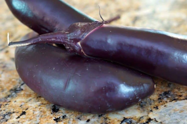 A close up of Eggplant