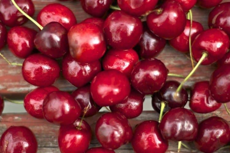 A close up of a bing cherries