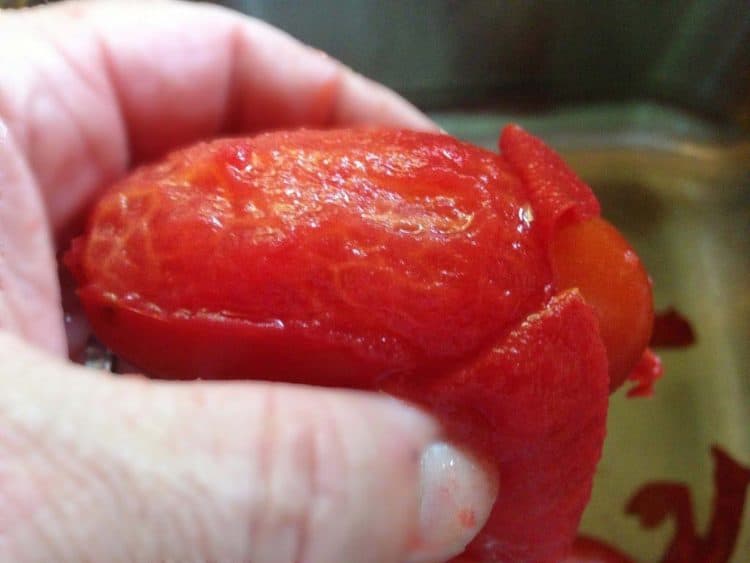 A close up of a Roma tomato with the skin off