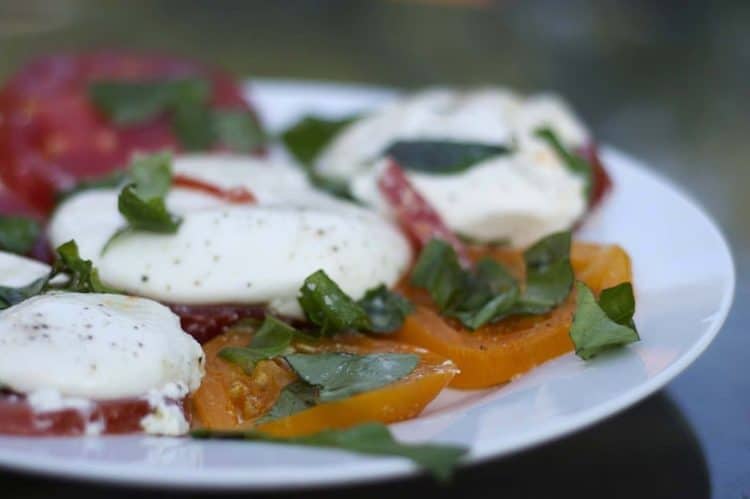 A close up of a plate of food with tomatoes and Burrata