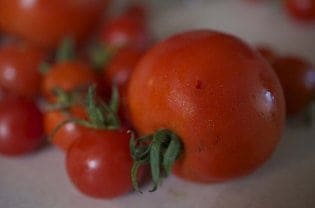 A close up of tomatoes.