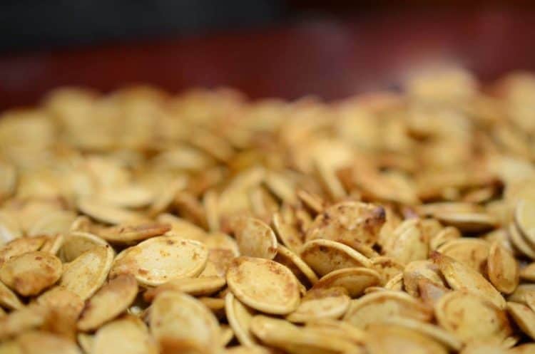 A close up of pumpkin seeds.