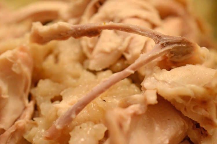A close up of a chicken bones.