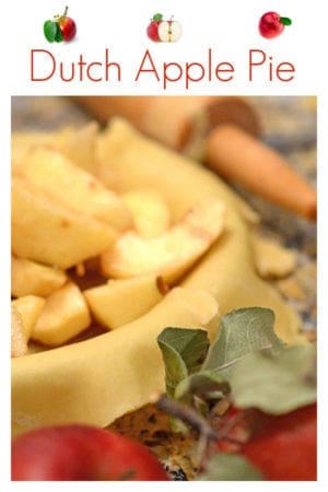 Learn how to make apple pie with this Open Face Apple Pie from Platter Talk. Enjoy Dutch apple pie throughout the year with this easy apple pie recipe.