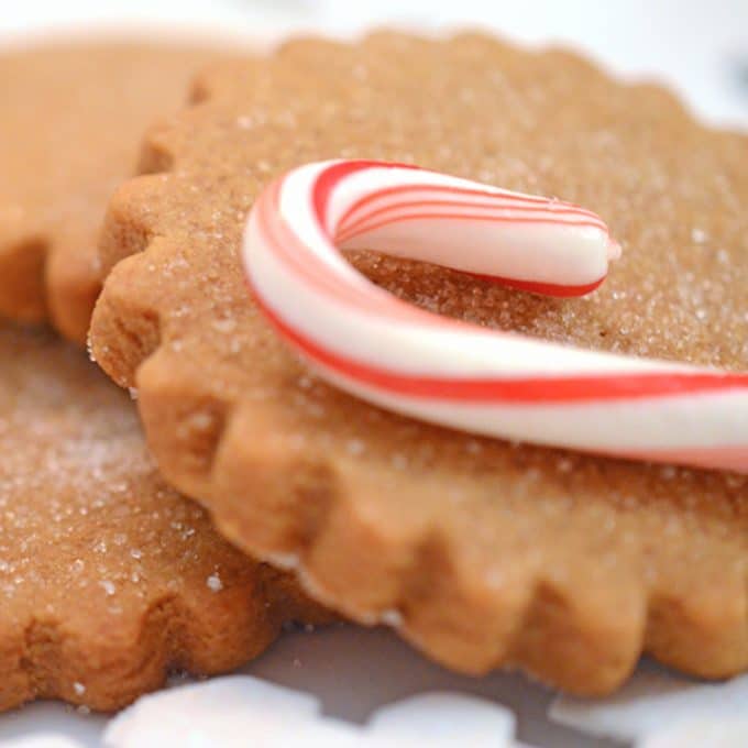 A Christmas cookie with a candy cane