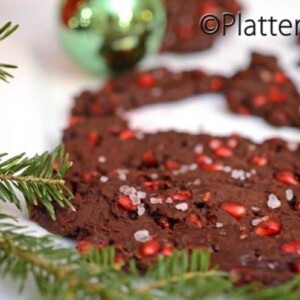 A close up of a piece of chocolate pomegranate ginger bark.