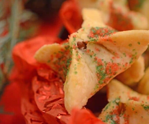 A close up of a chocolate wonton dessert.