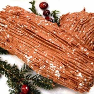 a close up of a yule log.
