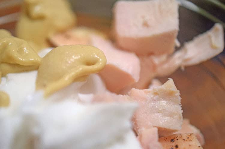 A close up of chicken on a plate.