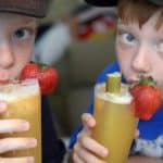 Rhubarb slush recipe