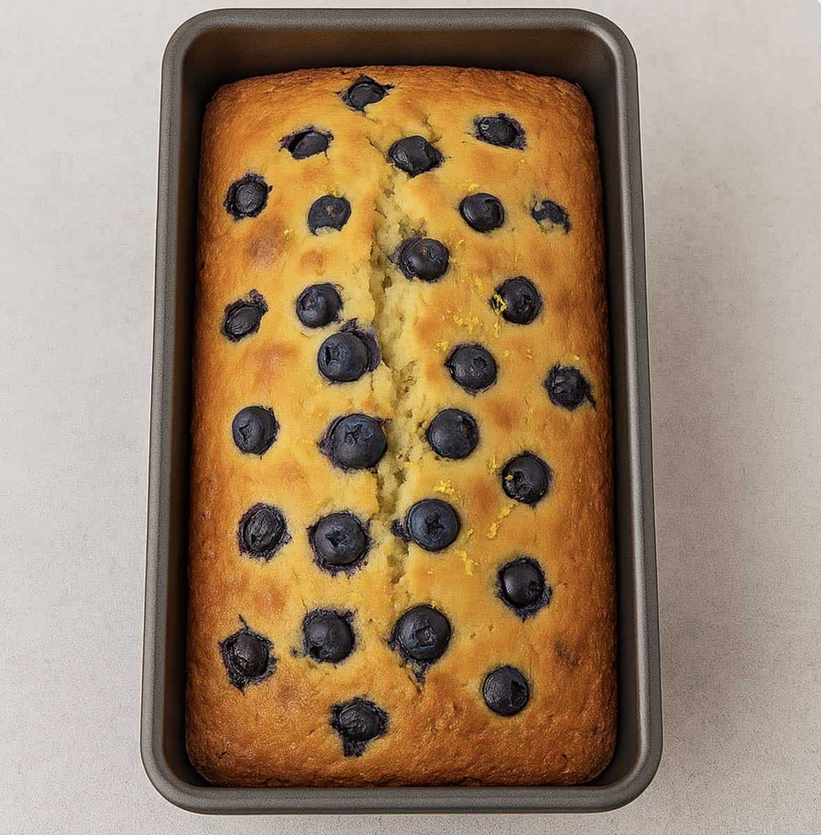 A blueberry loaf of bread in a baking pan.