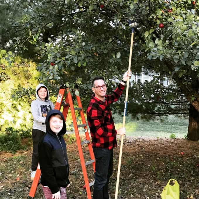 Man and two boys picking apples with an apple picker.