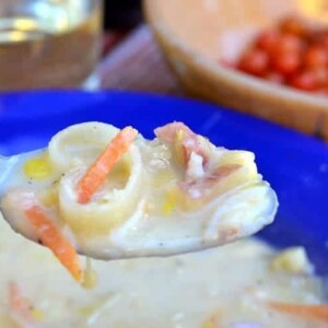 A close up of a bowl of chowder.