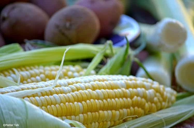 A close up of corn on the cob.