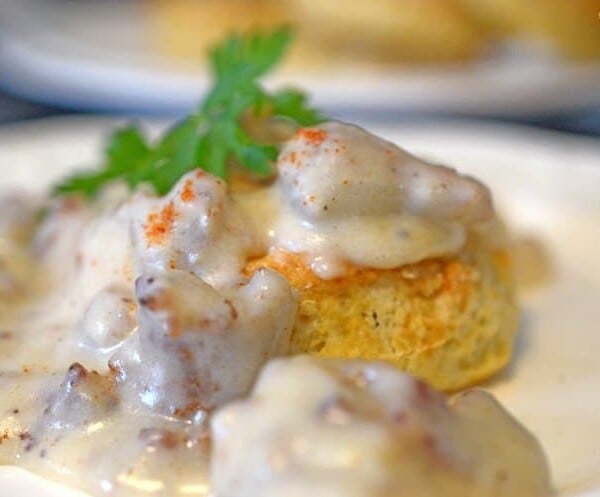 A close up of a plate of food, with Biscuit and gravy