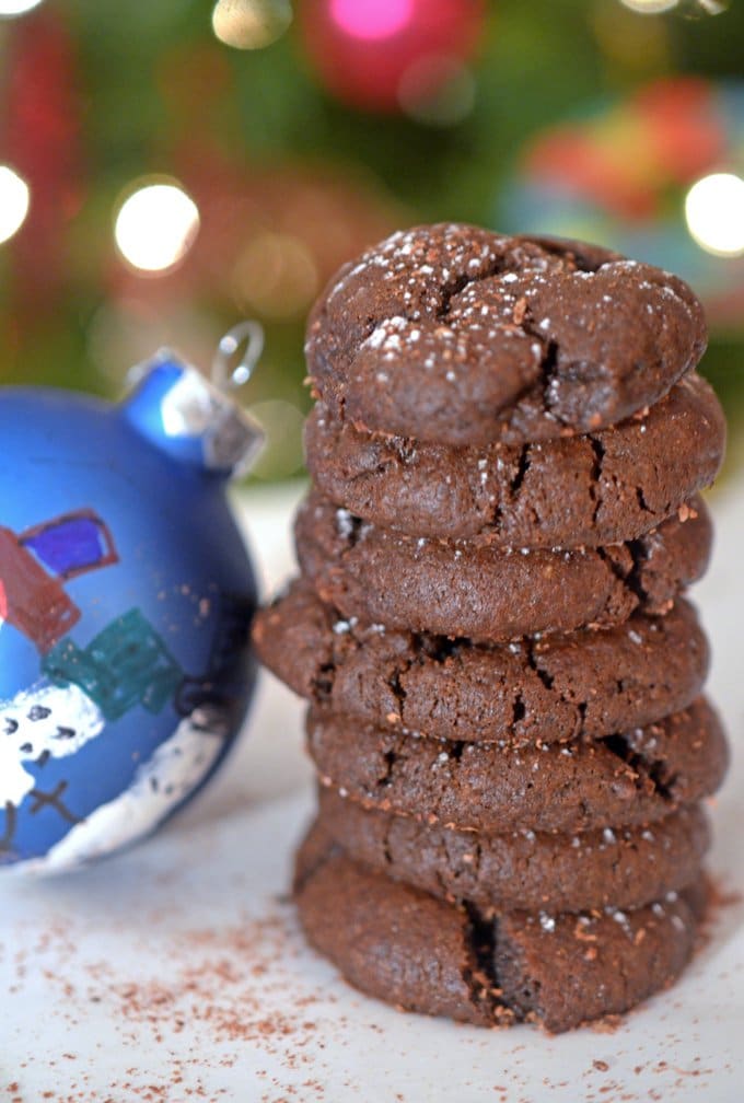 A close up of a chocolate cookie on a plate