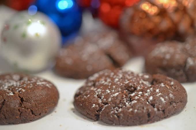 A close up of a chocolate cookie