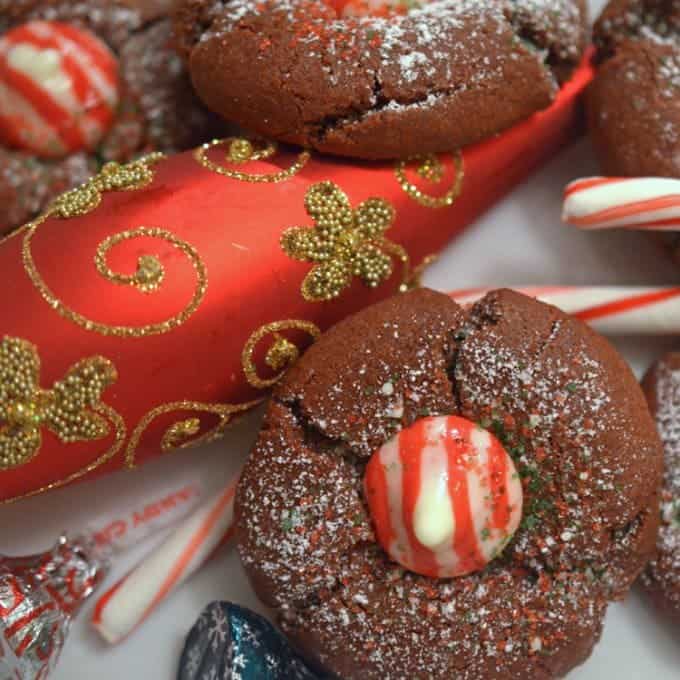 A close up of a chocolate cookie