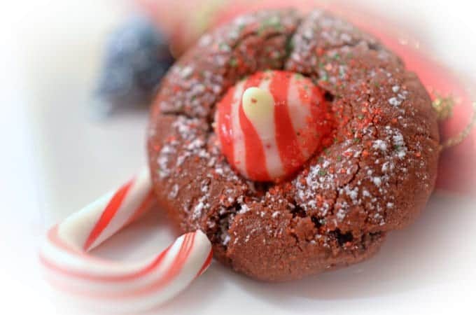 A chocolate Christmas cookie.