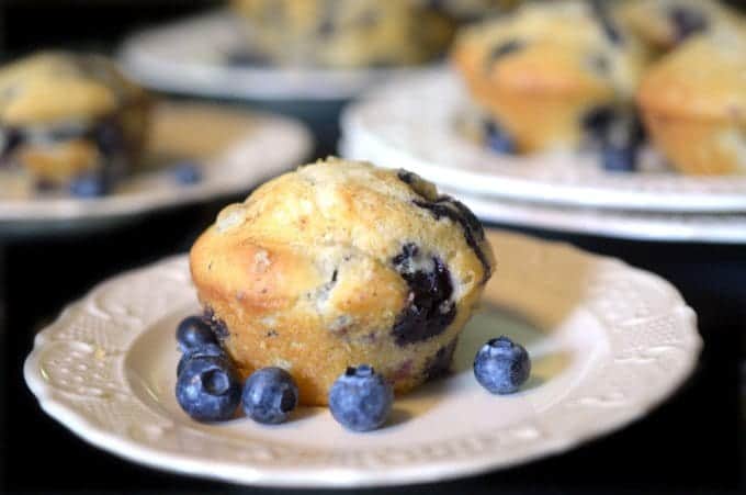 A blueberry muffin on a plate.