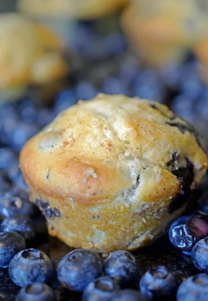 a close up of a blueberry muffin