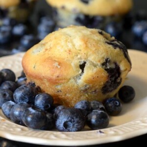 A close up of a blueberry muffin.