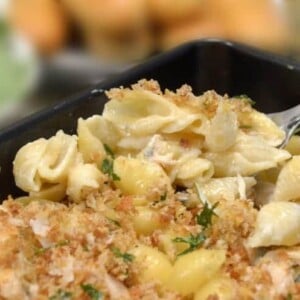 A closeup of pasta in a pan