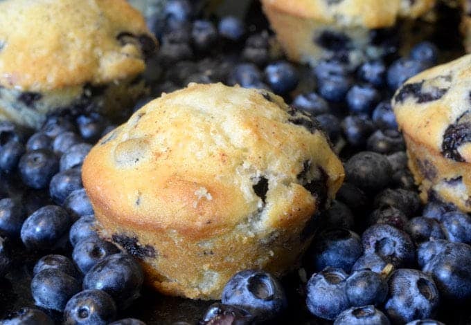 A muffin surrounded by blueberries