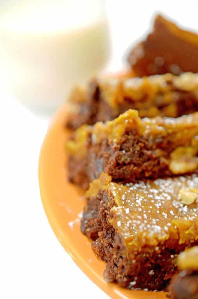 a close up of a plate of brownies