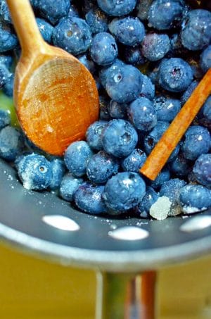 Bowl of fresh blueberries with wooden spoon and cinnamon stick.