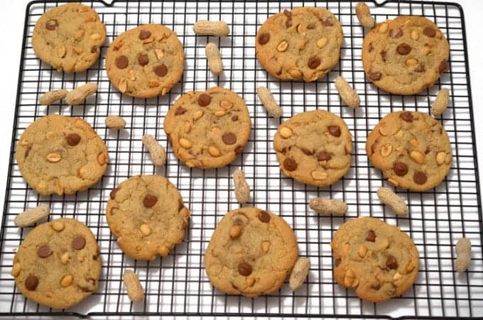 A cooling rack full of cookies