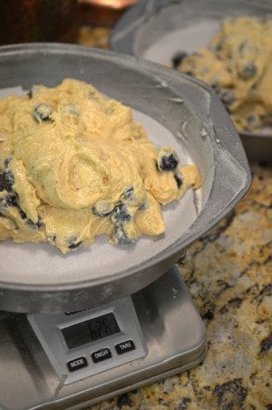 Blueberry cake batter in a pan