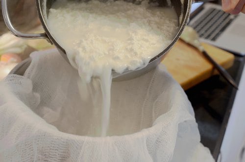 Ricotta Cheese from Scratch Recipe by Platter Talk