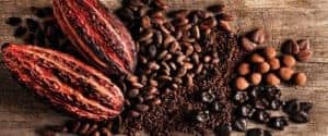 Cocoa beans 