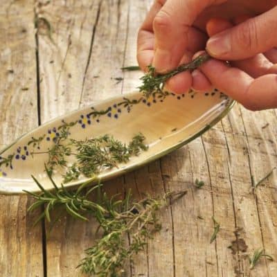 Picking Fresh Thyme Leaves Made Easy