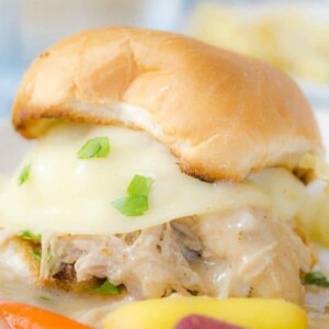 A close up side view hot turkey sandwich in bun, vegetable in foreground