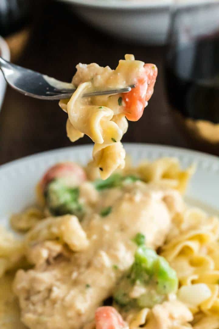 Forkful of cream of chicken with egg noodles and vegetables.