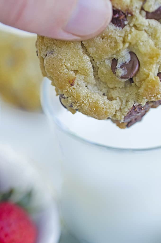 A close up of a cup, with Chocolate chip cookie