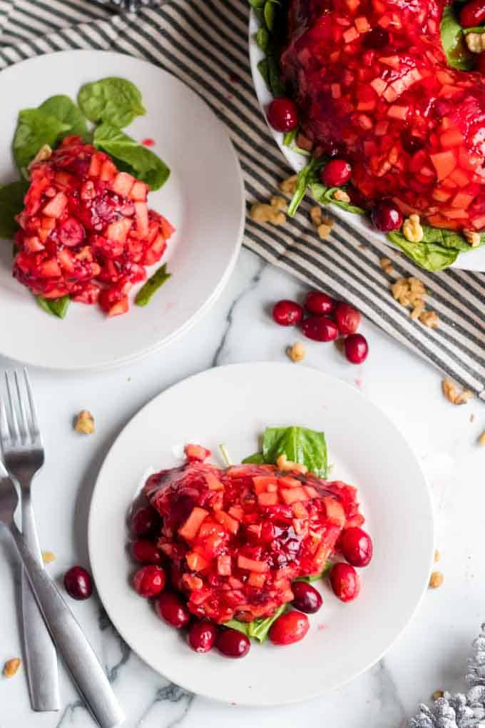 Two plates of cranberry salad and two forks, garnished with fresh cranberries.